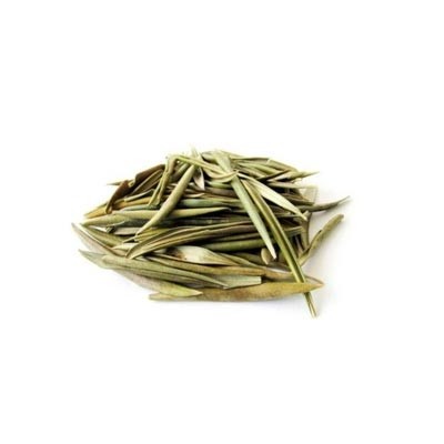 FOLHAS DE OLIVEIRA