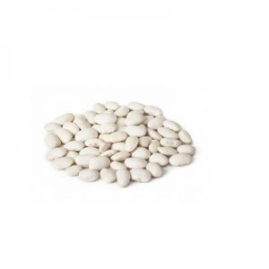 FEIJÃO FAVA BRANCA