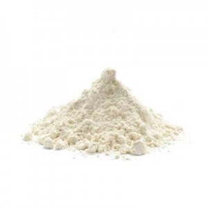 GLUTEN DE TRIGO IMPORTADO