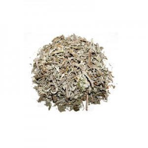 SALVIA EM FOLHAS